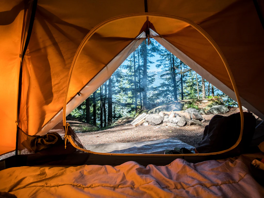 Intérieur d'une tente ouverte sur une forêt de conifères au petit matin